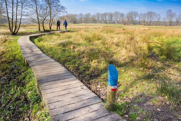 10 mooiste wandelroutes van Nederland - Comodo Sokken